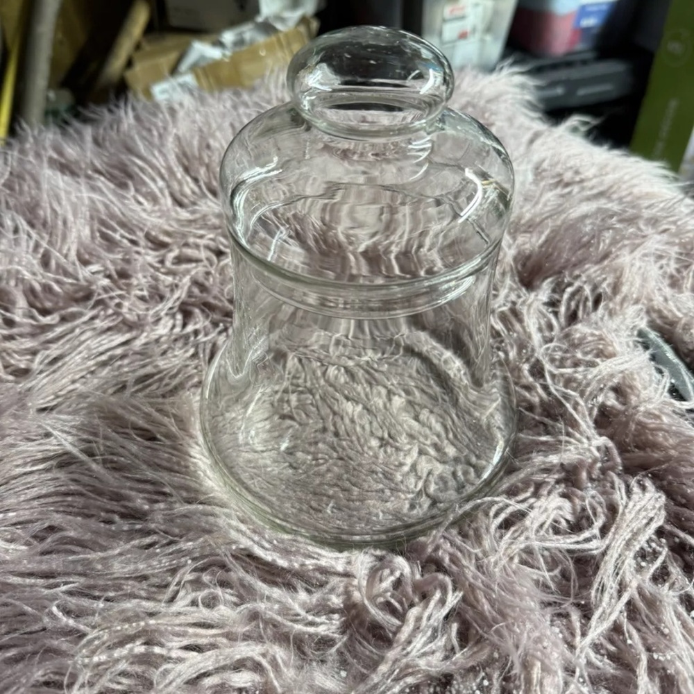 Elegant Clear Glass bell shaped Jar, apothecary, terrarium
